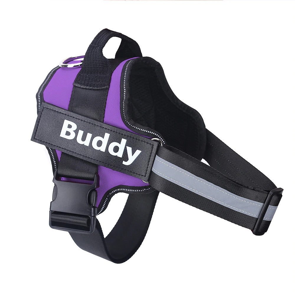 Personalized Dog Harness Reflective