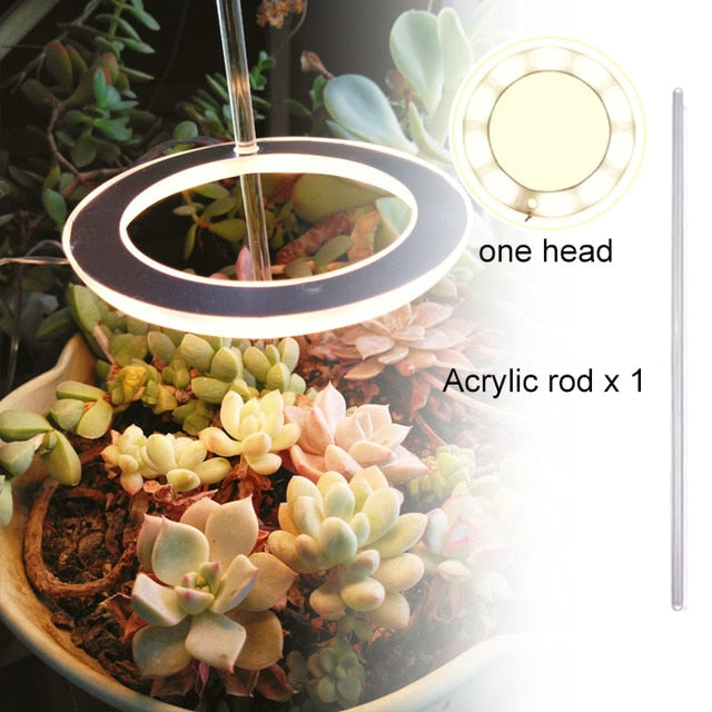 Angel Ring Grow Light