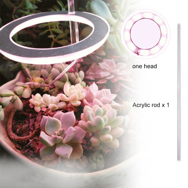 Angel Ring Grow Light