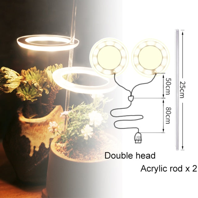 Angel Ring Grow Light