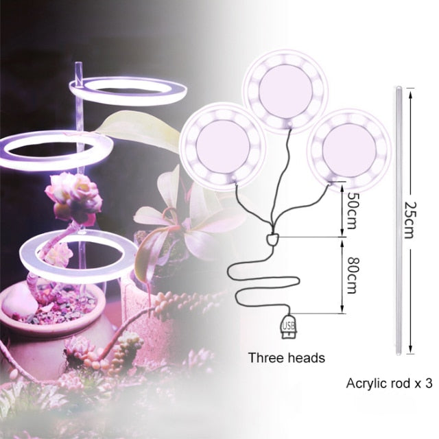 Angel Ring Grow Light