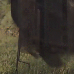 Light-Up Witches Wizard