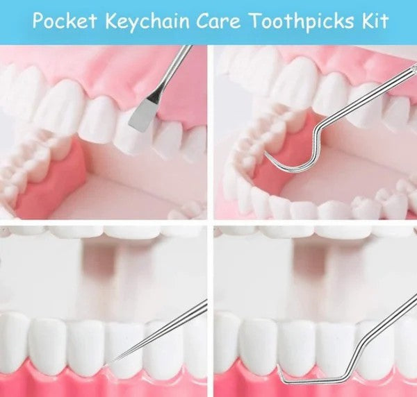 🔥Hot Sale - Stainless Steel Toothpick Set 7pcs
