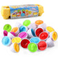 Oeufs éducatifs Montessori (12 œufs un ensemble) 