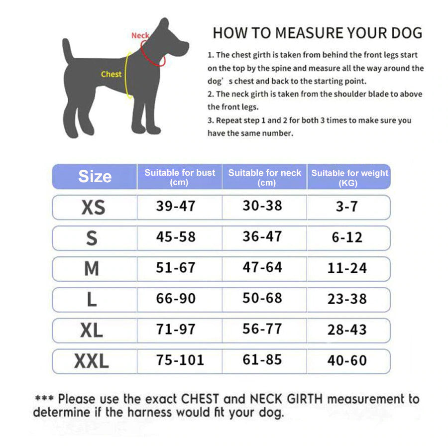 Harnais pour chien personnalisé réfléchissant