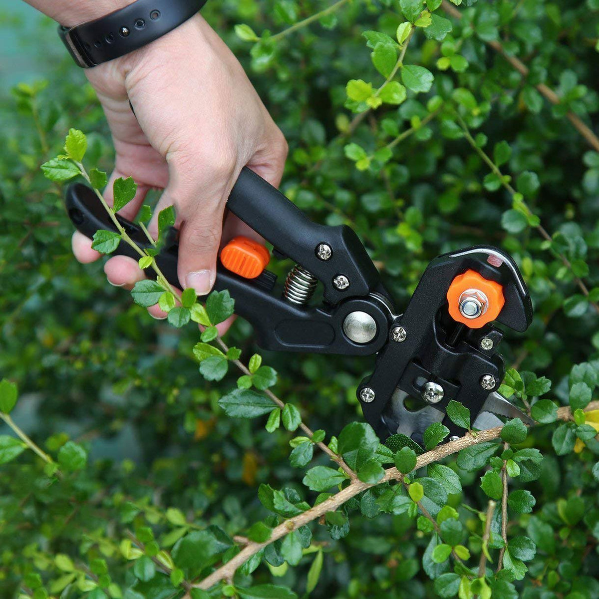 Hand Grafting Tool