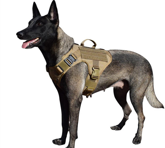 Taktisches Hundegeschirr v2